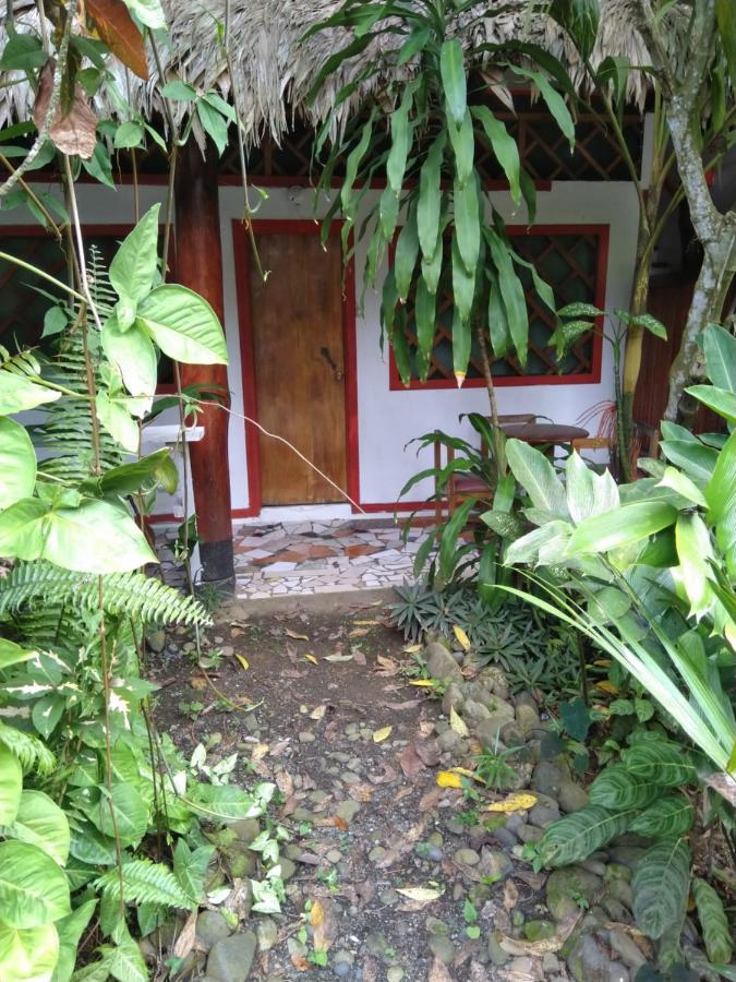 Cabinas Talamanca Sa Hotel Puerto Viejo de Talamanca Kültér fotó